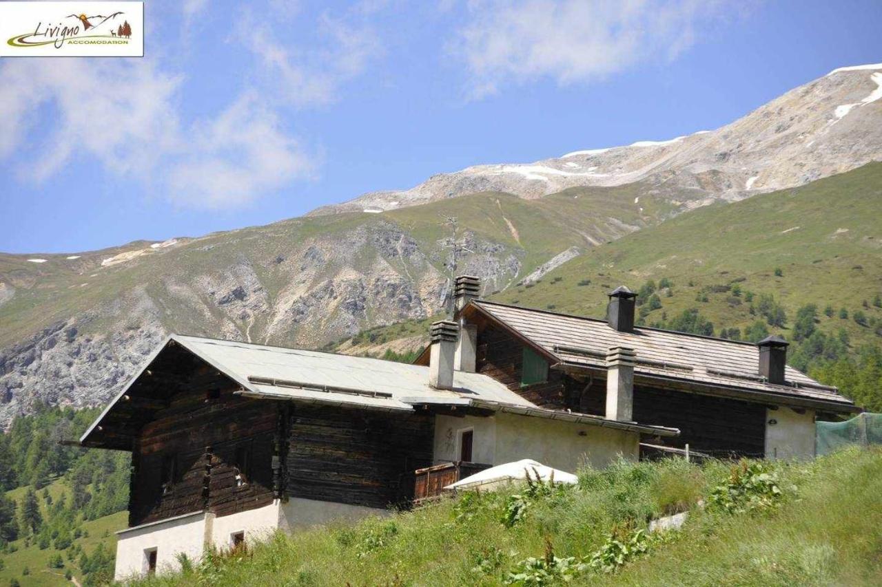 Stiloso Esclusivo Ricercato Riservato E Soleggiato Appartamento