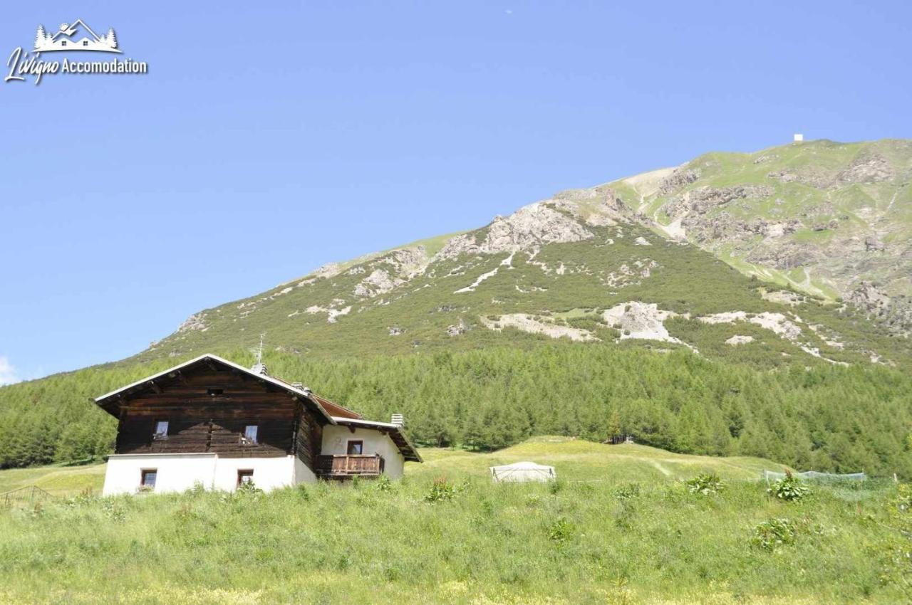 Stiloso Esclusivo Ricercato Riservato E Soleggiato Appartamento *